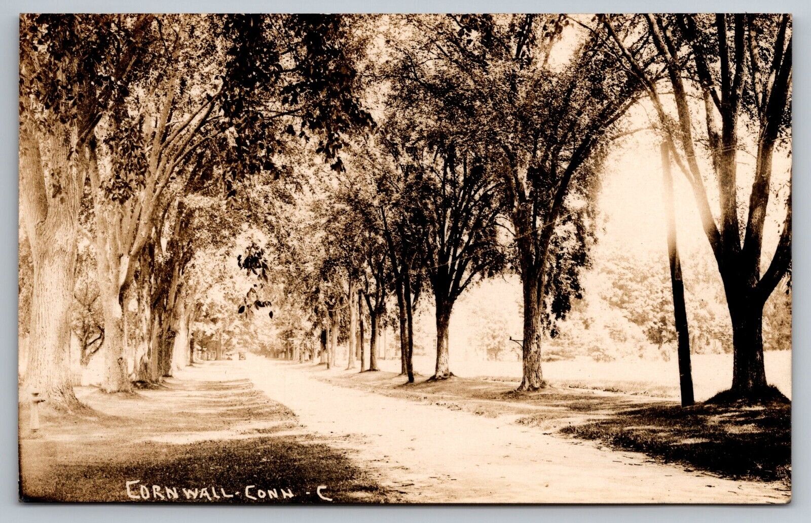 Tree Lined Dirt Road in Cornwall CT. Litchfield County Real Photo Postcard RPPC.