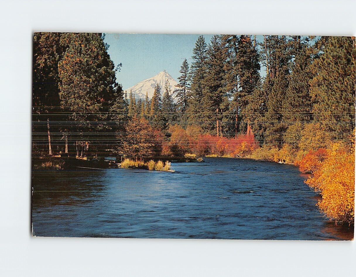 Postcard Metolius River & Mt. Jefferson Central Oregon USA