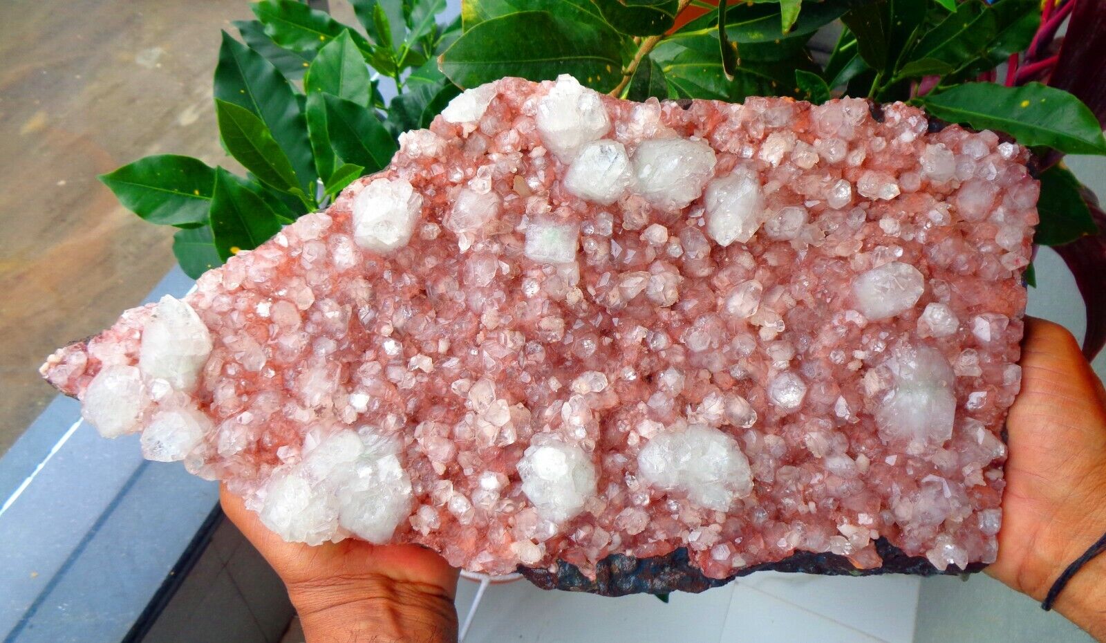 Red and Green  Pointed  Apophyllite Crystals On Red Matrix 