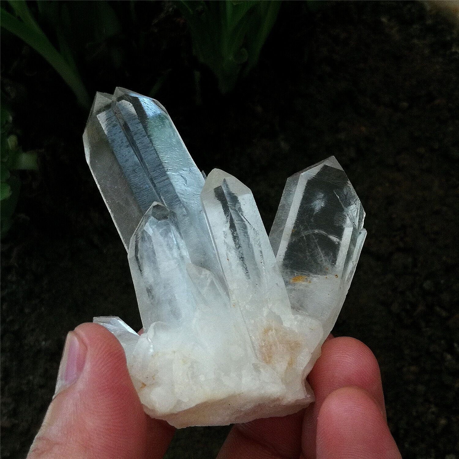 91g 72mm Rare Healing Quartz Flower Natural Clear Crystal Cluster Point Specimen