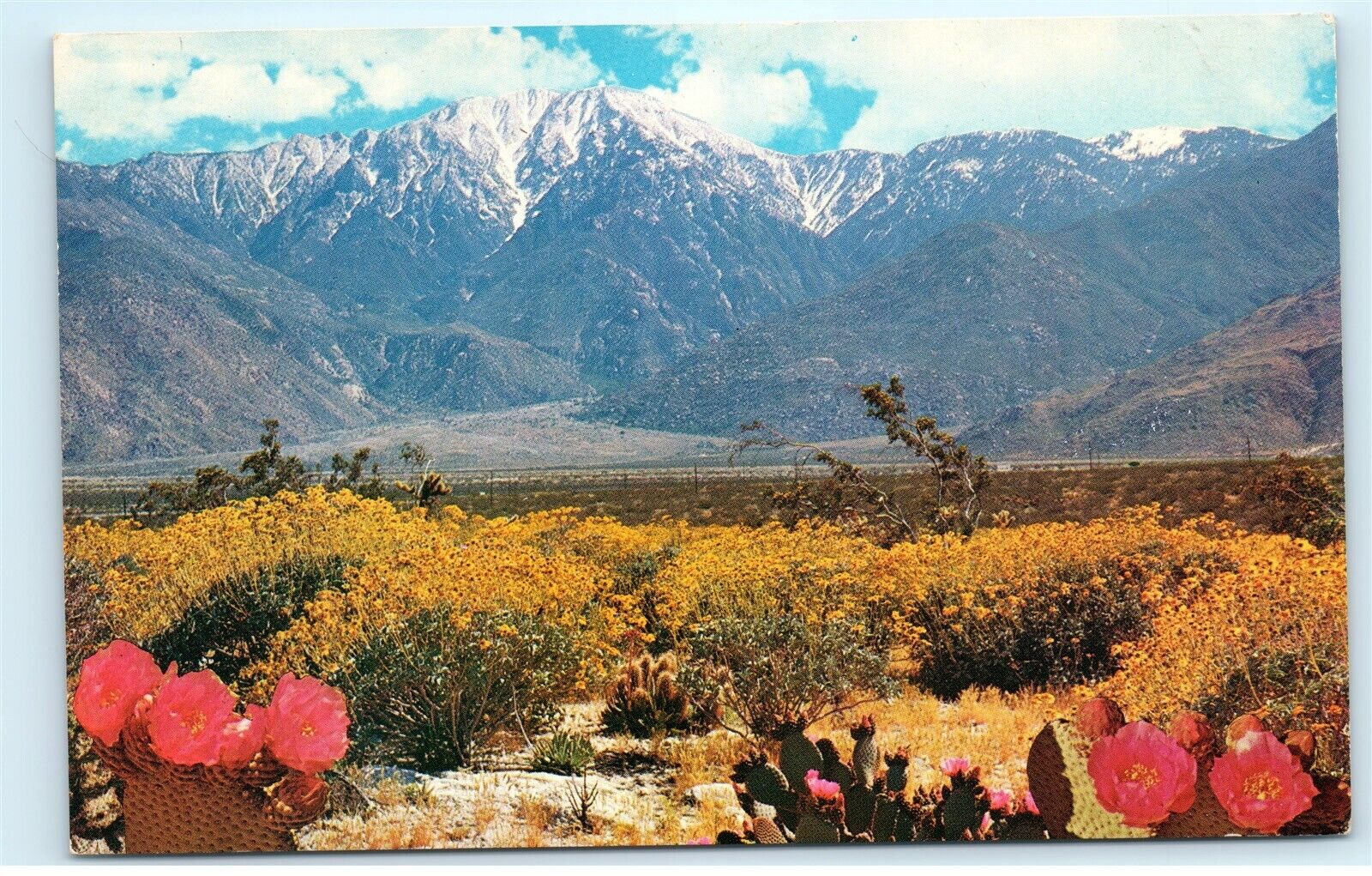 North Rialto CA San Bernardino Mountains 1960s Vintage Postcard C21