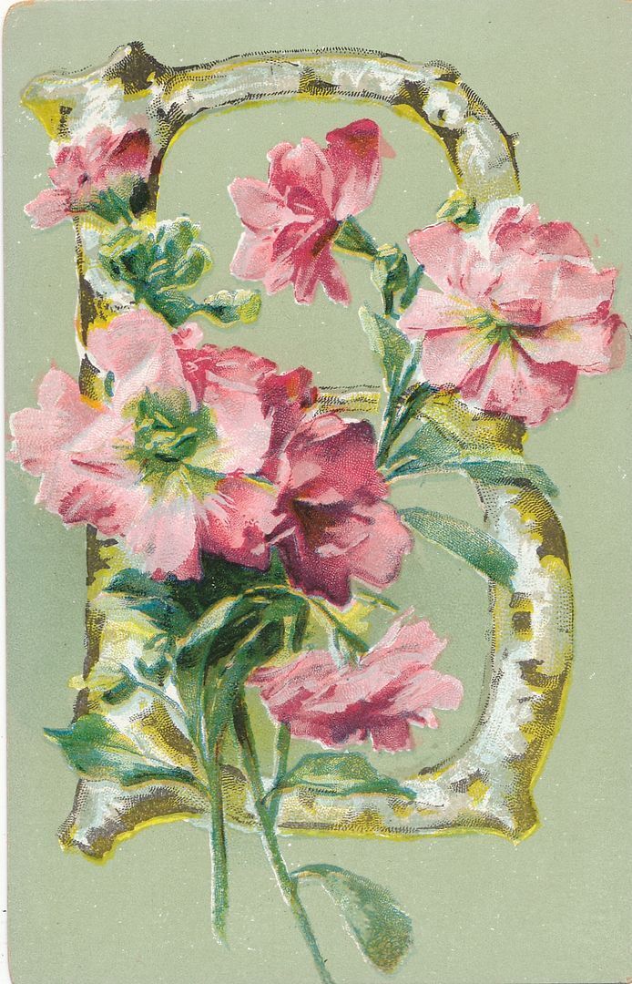 Letter B Floral Postcard