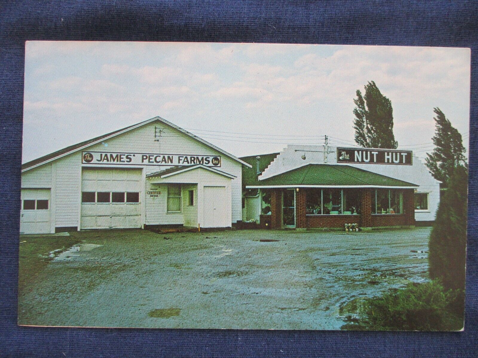 ca1970 Brunswick Missouri James Pecan Farms Roadside Store The Nut Hut Postcard