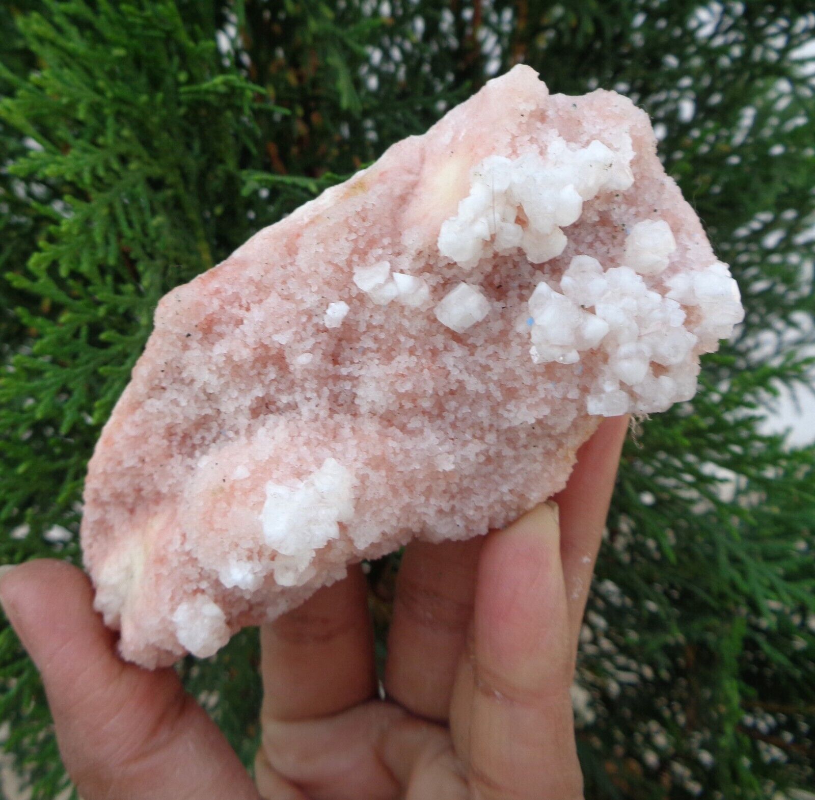 Apophyllite Crystals On  Light Pink Coral Matrix Minerals Specimen #H38