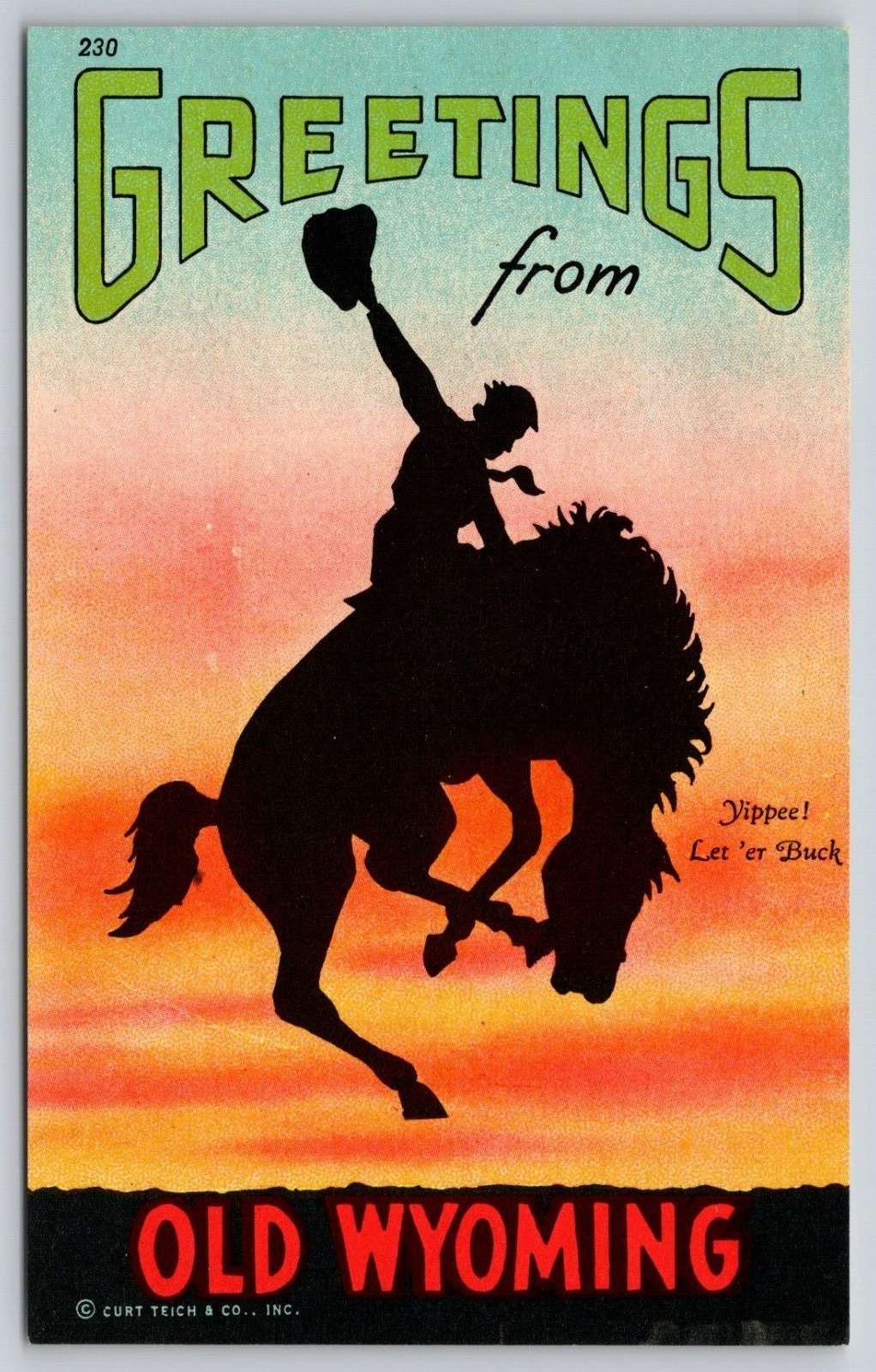 Postcard Greetings From Old Wyoming Cowboy UNP B13