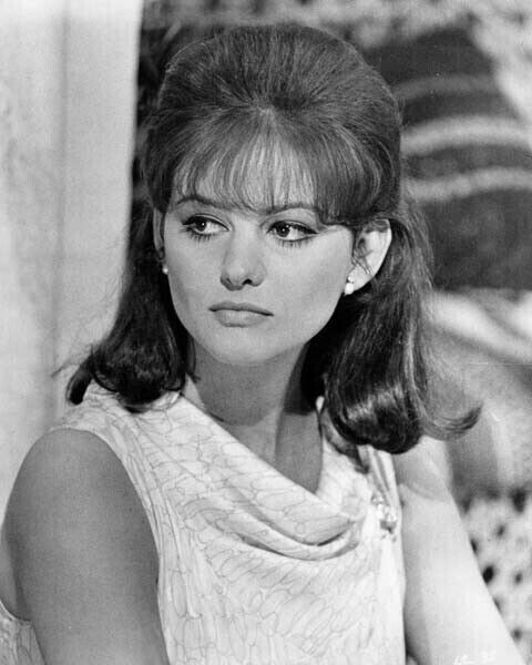 Claudia Cardinale beautiful portrait from 1966 Lost Command movie 24x36 Poster
