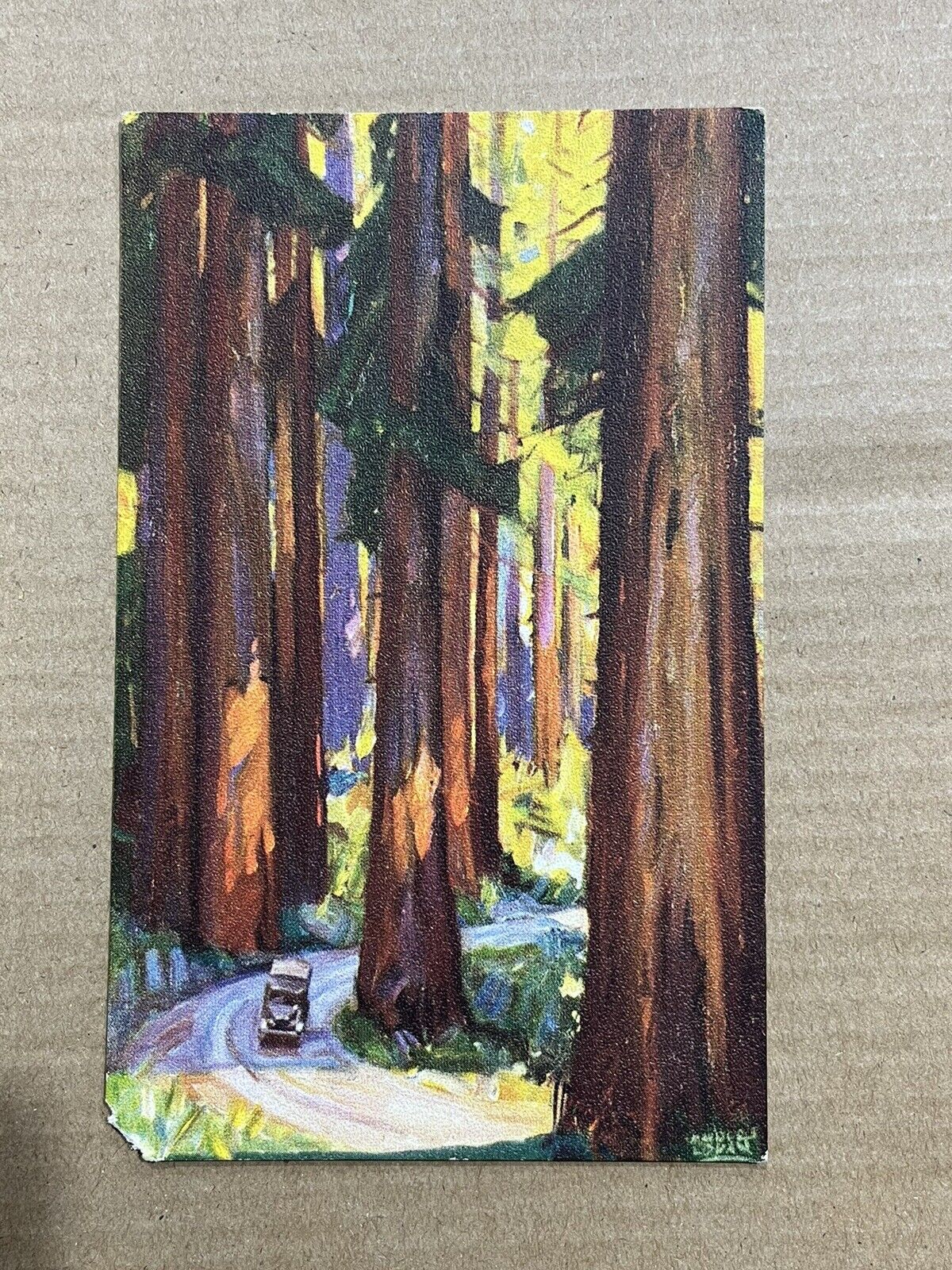 Southern Pacific Lines Redwood Empire Tour Vintage Postcard