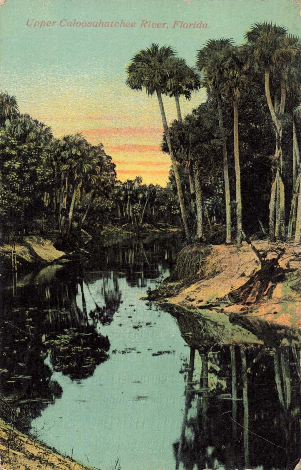 Upper Caloosahatchee River Florida FL Palatka c1910 Postcard