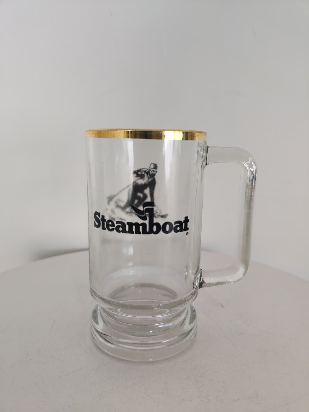 Vintage STEAMBOAT Colorado Ski Resort Show Mug Cup glass unique