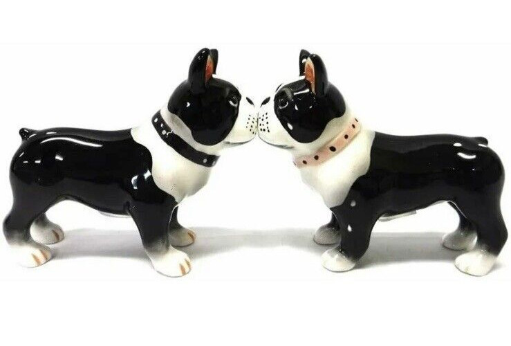 Boston Terrier Pups Ceramic Attractives Magnetic Salt and Pepper Shaker Set