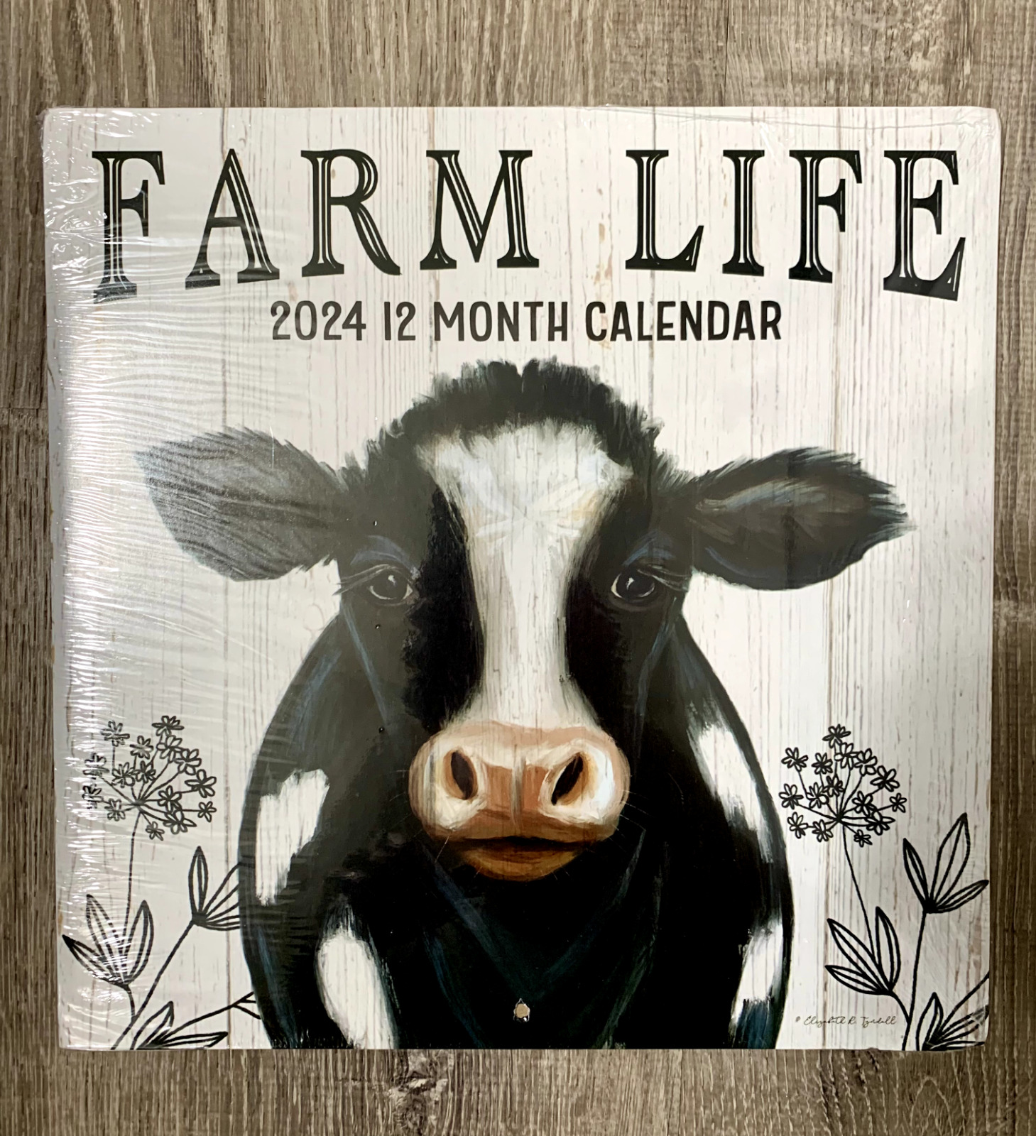 NIP 12M Calendar 2024 Farm Life Crafts Cute 11