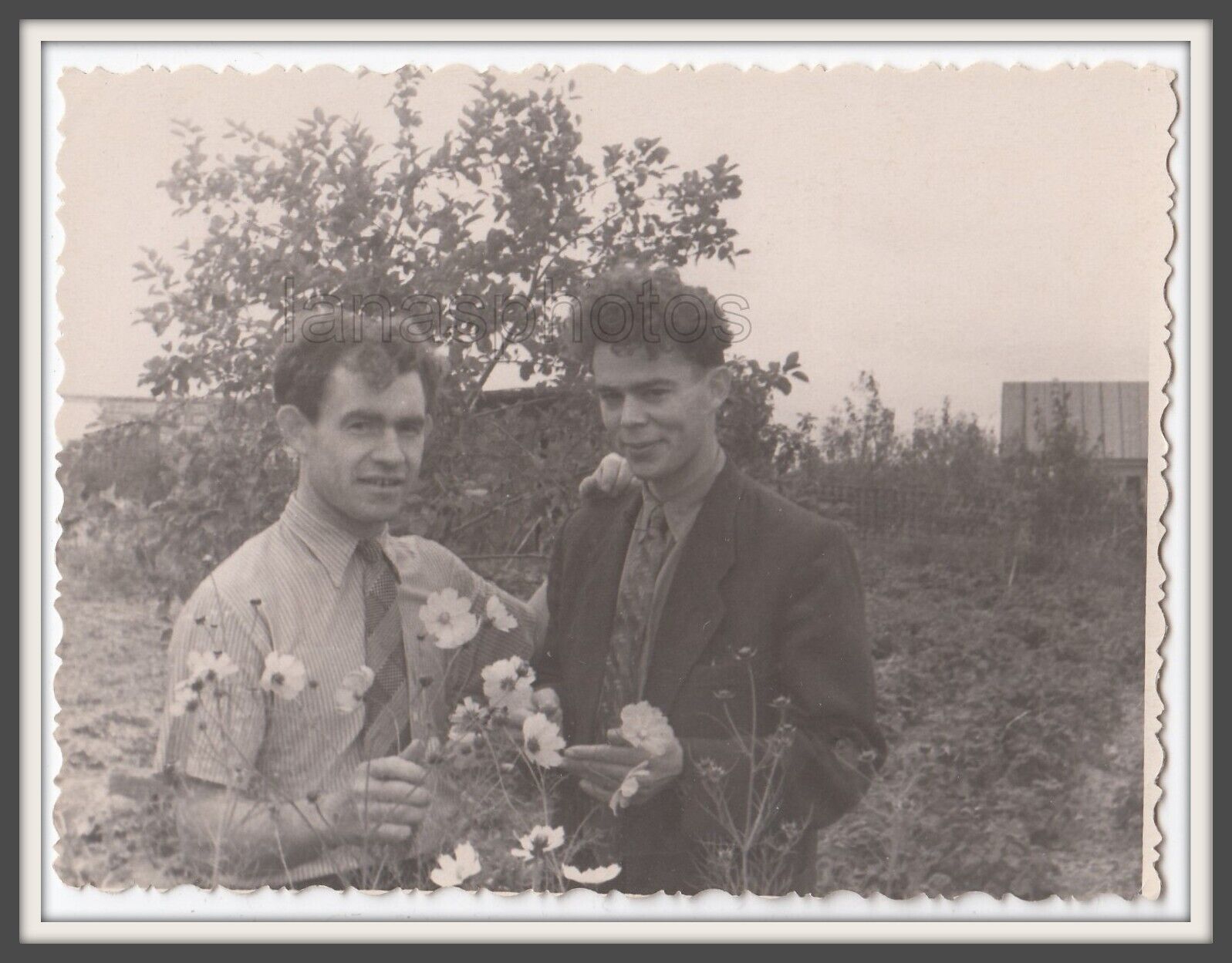 Buddies Handsome men crush Affectionate couple Love Flower vintage photo Gay Int