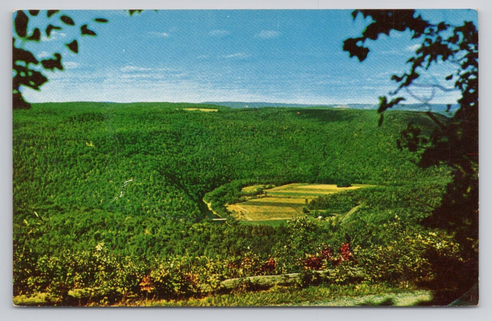 High Knob Sullivan County, Pa Postcard 3107