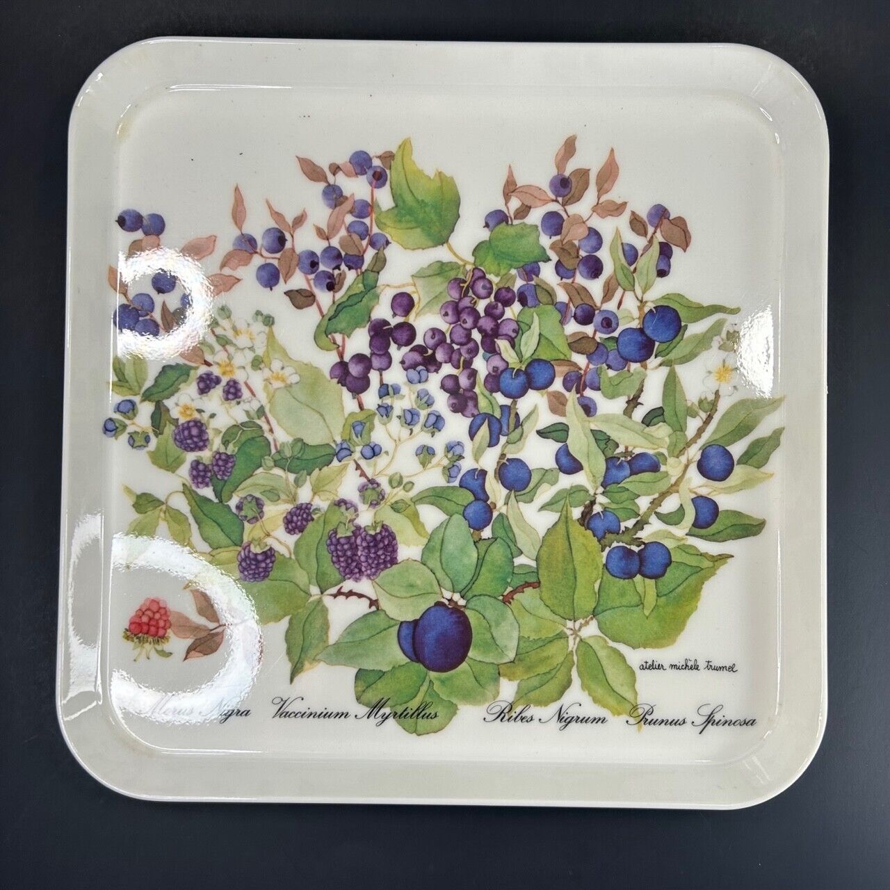 Vintage Atelier Michele Trumel Italy RD’s Imports Botanical Serving Tray 11\