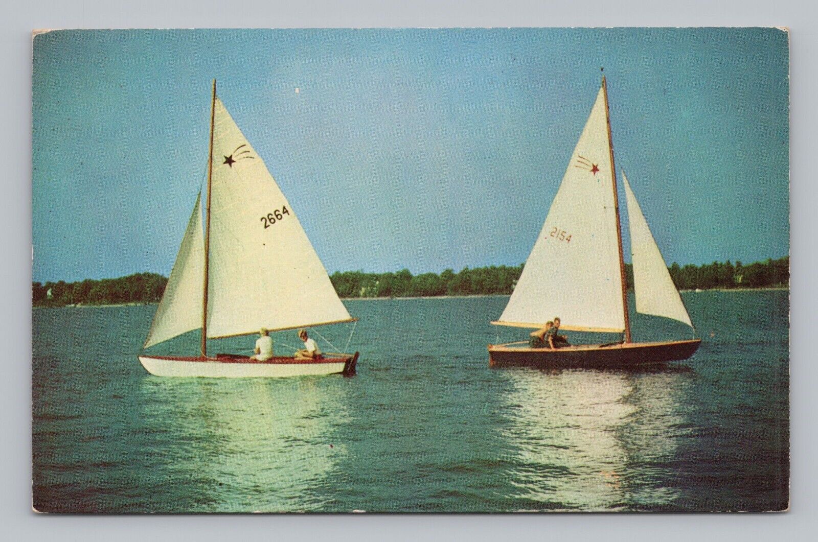 Postcard Sailboats c1956 Sailing