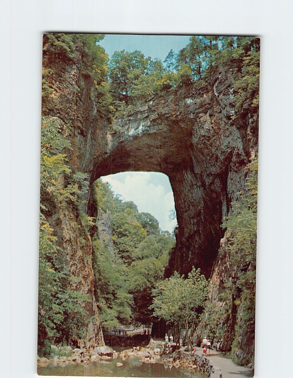 Postcard Natural Bridge Virginia USA