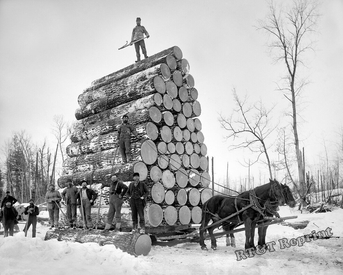 1897 Michigan Loggers / Logging Workers 8x10 Photo