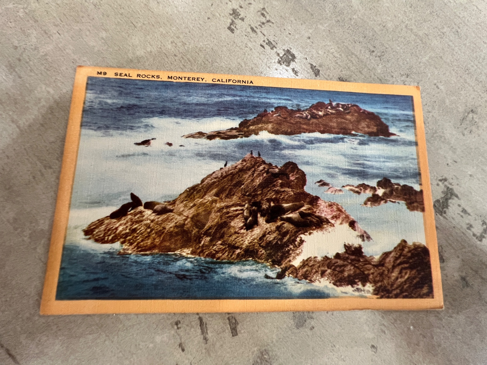 Vintage Seal Rocks Monterey California Postcard
