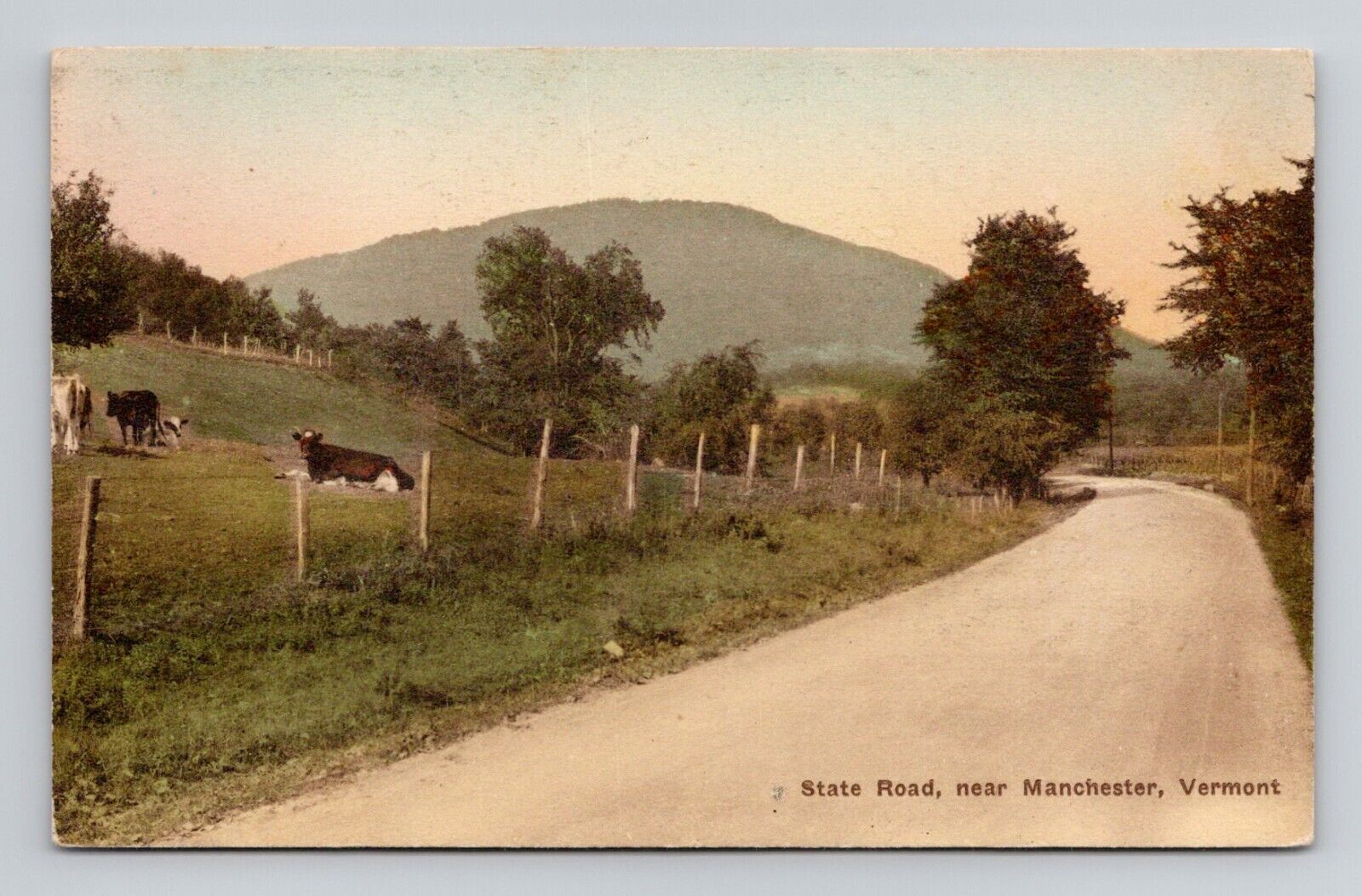 Postcard State Road Manchester Vermont VT, Vintage Albertype O4
