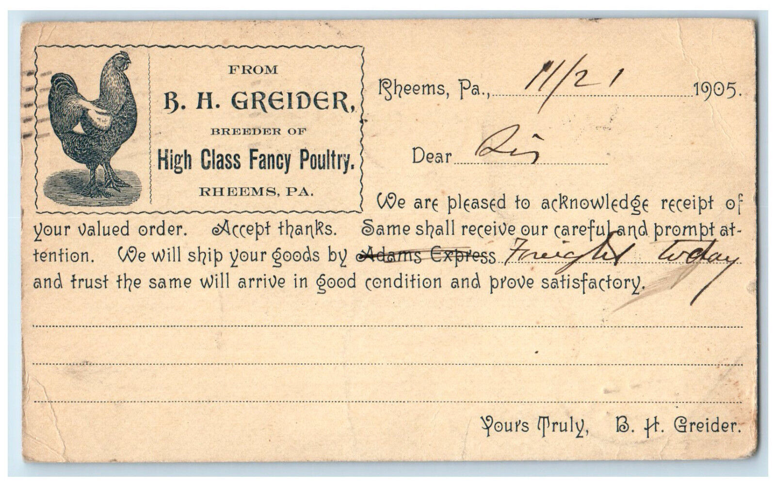 1905 BH Greider High Class Fancy Poultry Chicken Rheems PA Postal Card