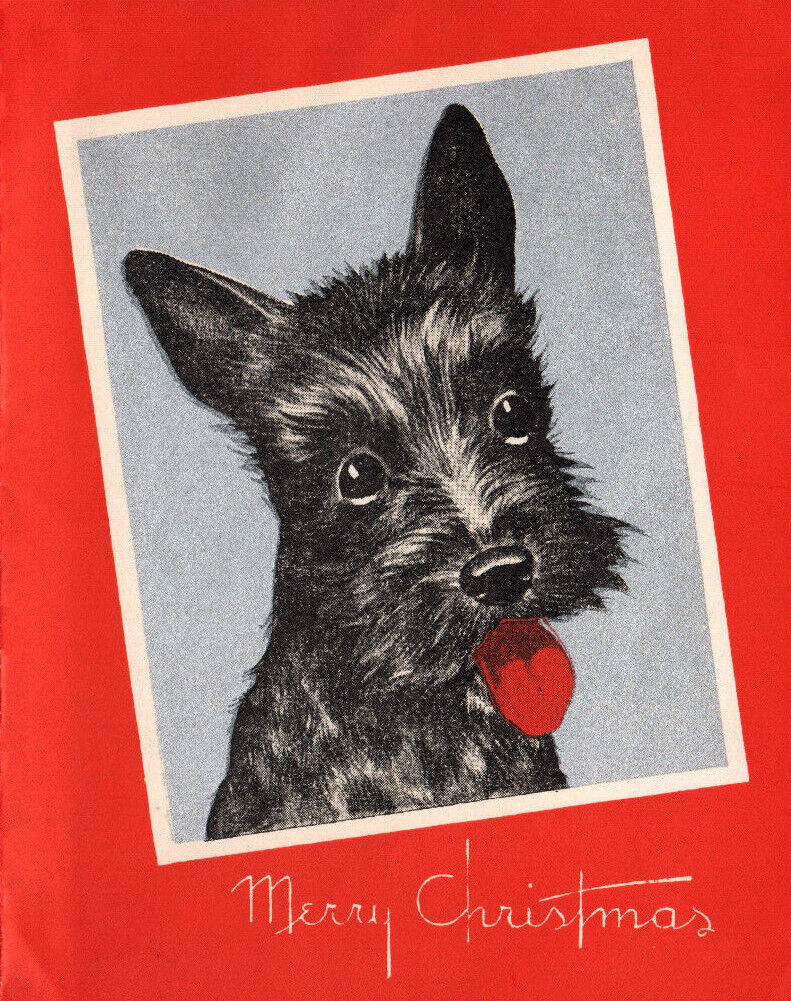 Vintage 1930-40\'s Sottish Terrior- Scotty Dog