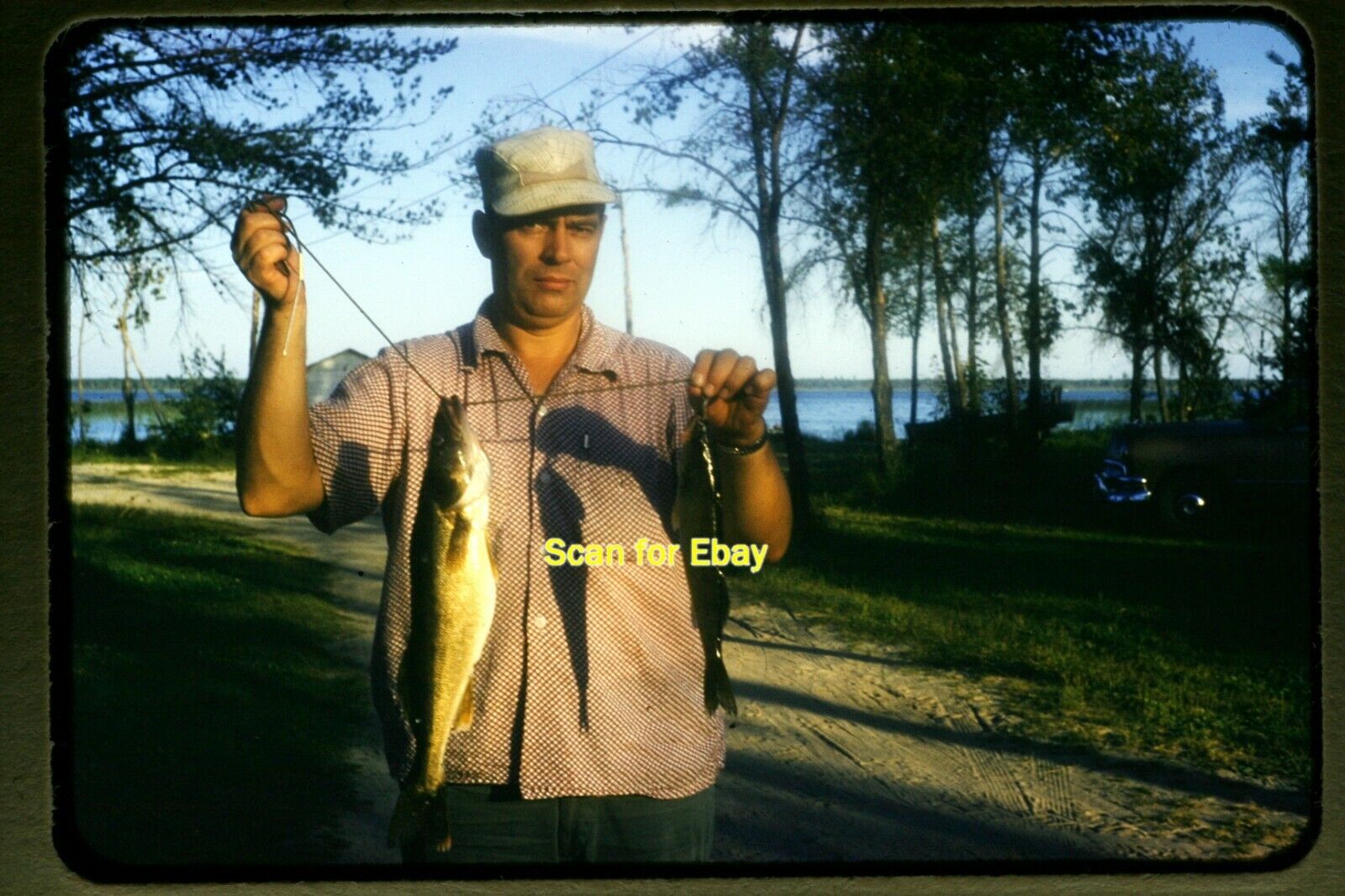 Fishing Man with Fish Catch in mid 1950s, Kodachrome Slide aa 11-10b
