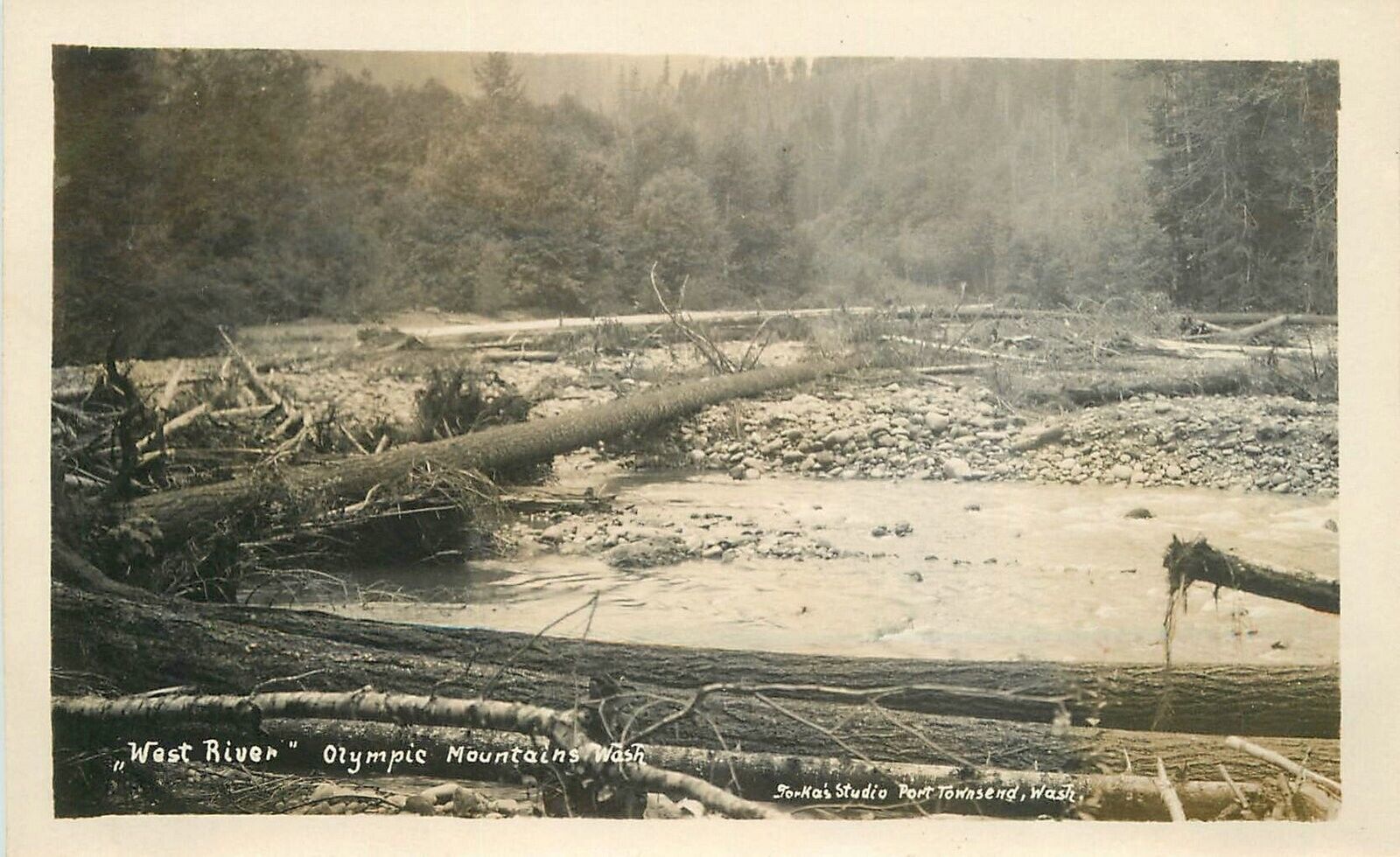 Postcard RPPC Washington West River Olympic Mountains Torka\'s Studios 23-3369