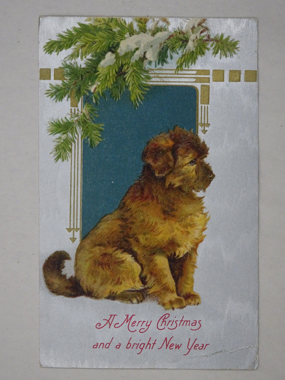 c1910 Winsch? Embossed Textured Merry Christmas Postcard Dog Unposted Germany