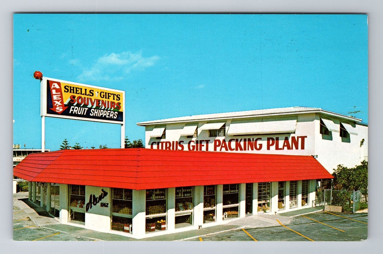 Dania FL-Florida, Alex\'s Fruit Shippers, Advertising, Antique, Vintage Postcard