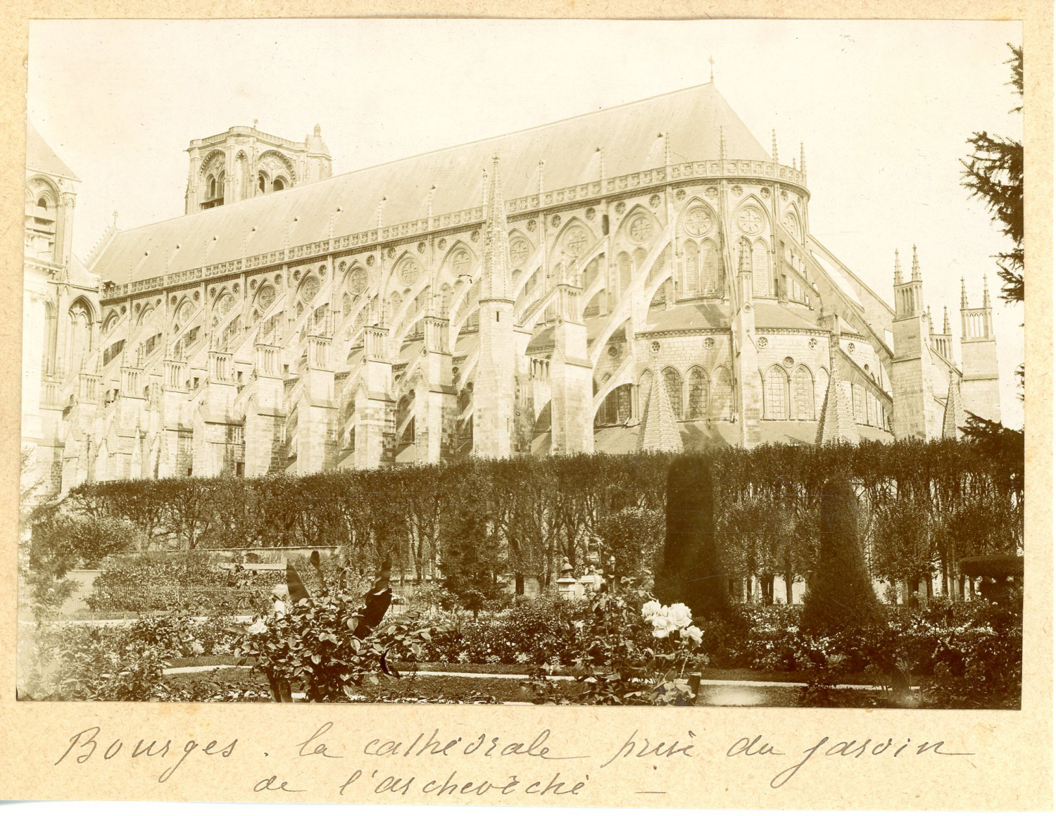 France, Bourges, cathedral taken from the garden, archdiocese vintage albumen print, 