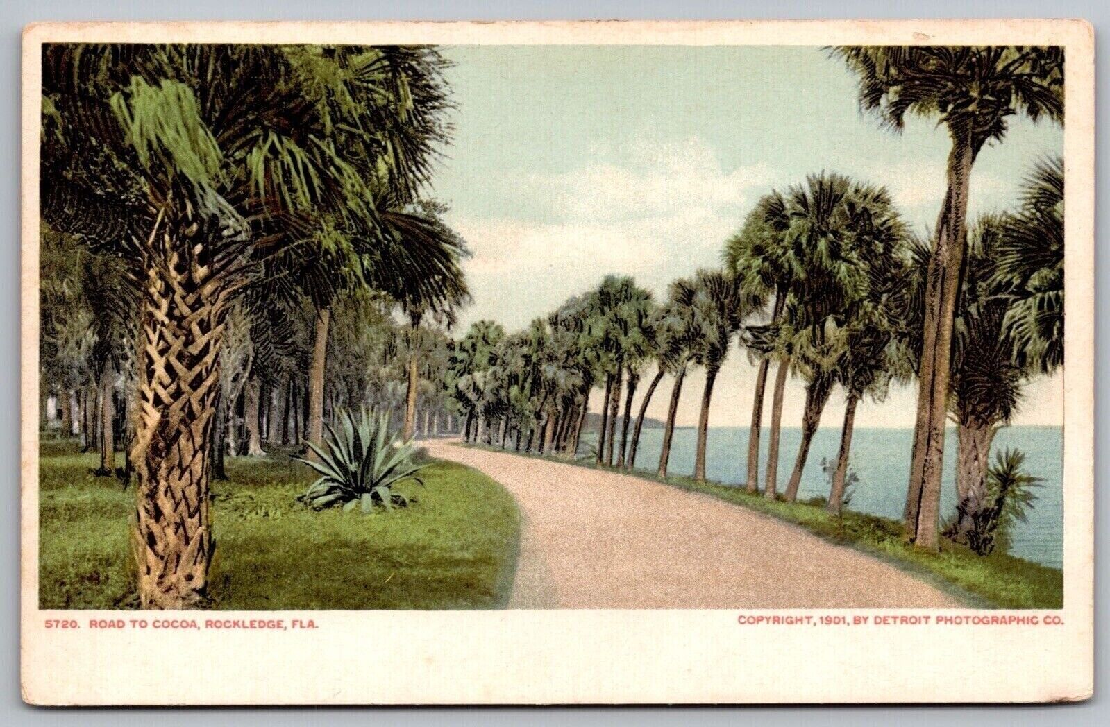 Rockledge Florida Cocoa Road Scenic Tropical Coastline Palm Trees UDB Postcard
