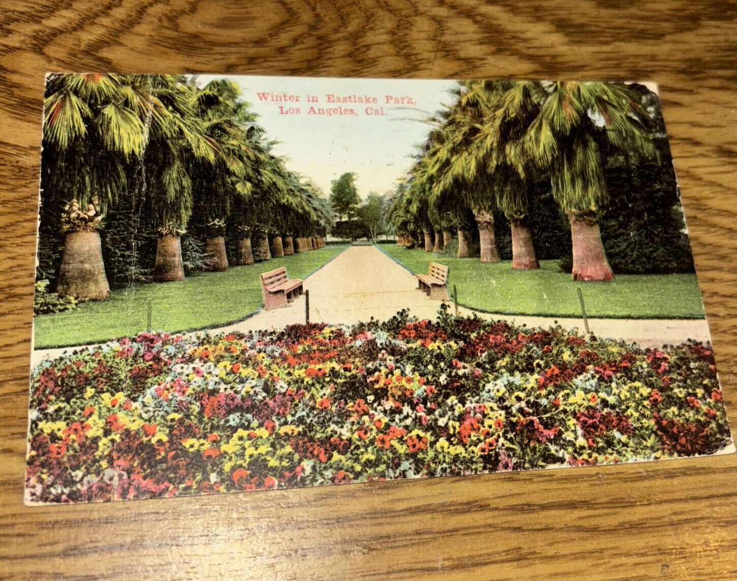 Winter in Eastlake Park, Los Angeles California Vintage Postcard