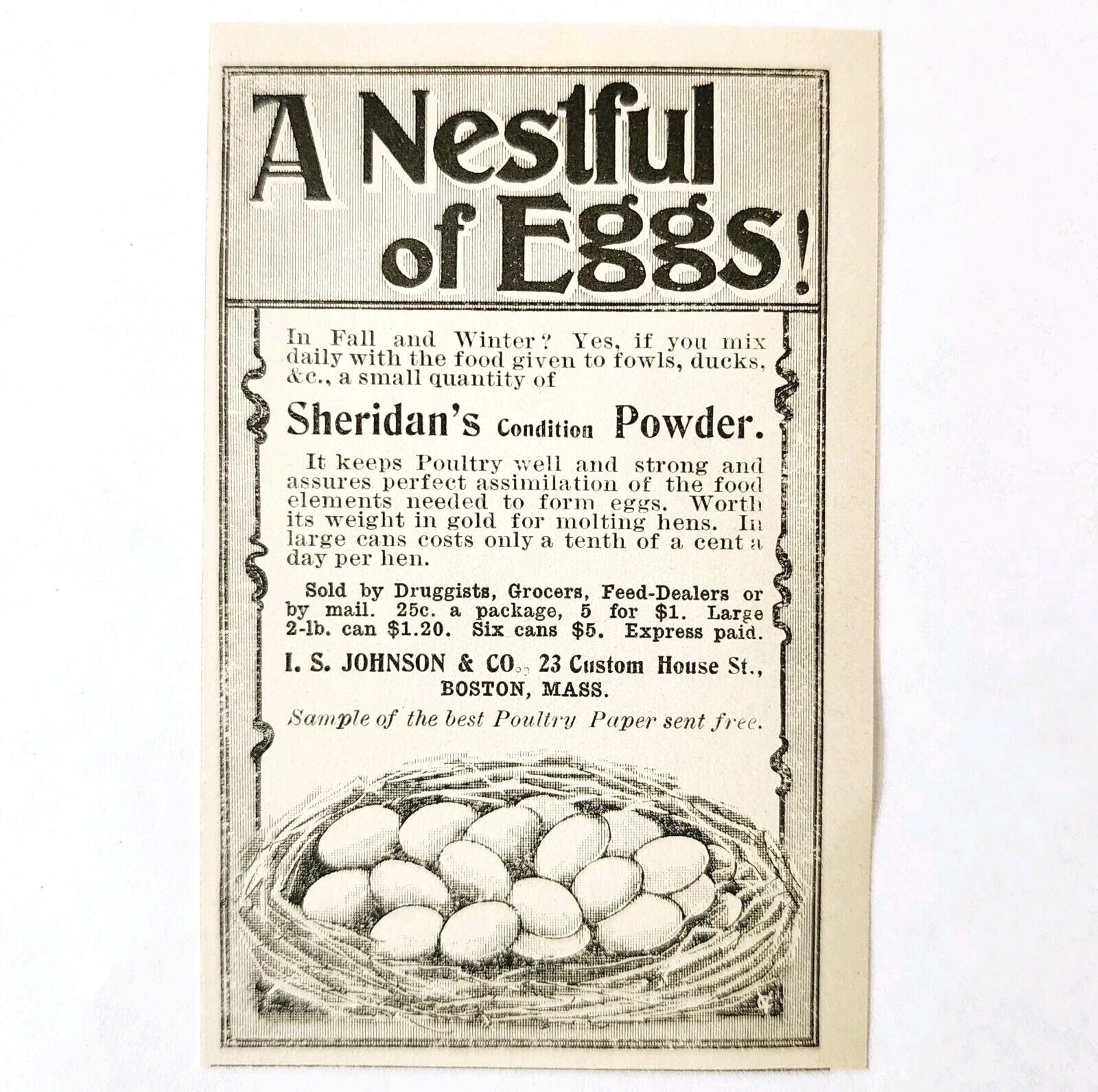 Johnson Farm Poultry Paper Chicken 1897 Advertisement Victorian Eggs ADBN1A5