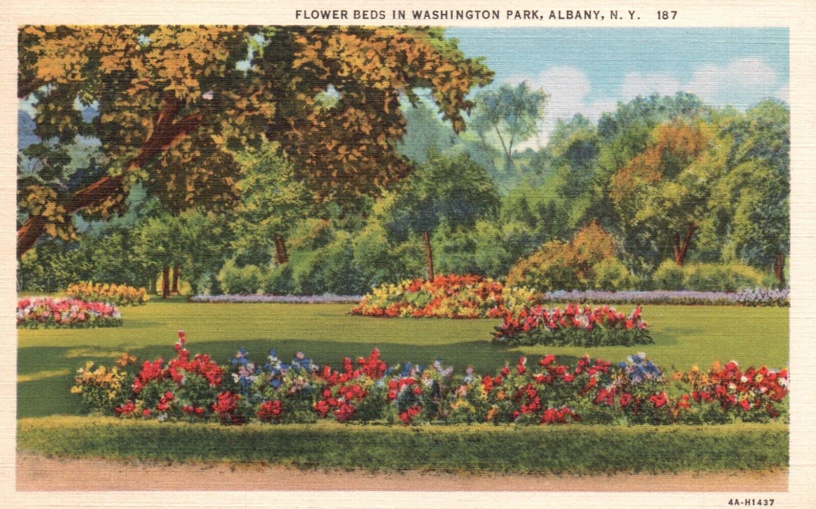 Postcard NY Albany New York Flower Beds Washington Park Linen Vintage PC G1451
