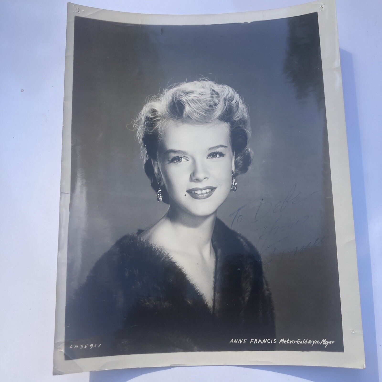 Anne Francis signed 8x10 Vintage Movie Film Photo Classic Actress Hollywood