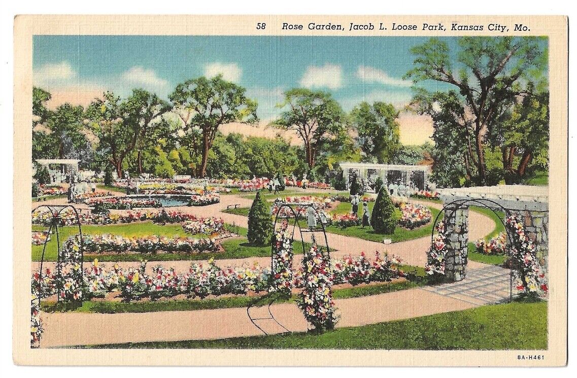 Kansas City Missouri c1930\'s Rose Garden, Jacob L. Loose Park, flower