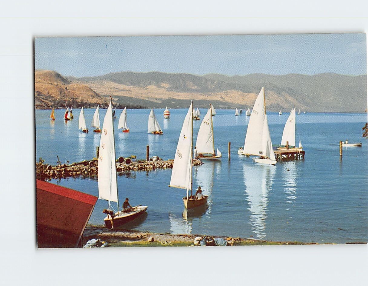 Postcard View of Sailboat Regatta from Campbells Lodge Chelan Washington USA