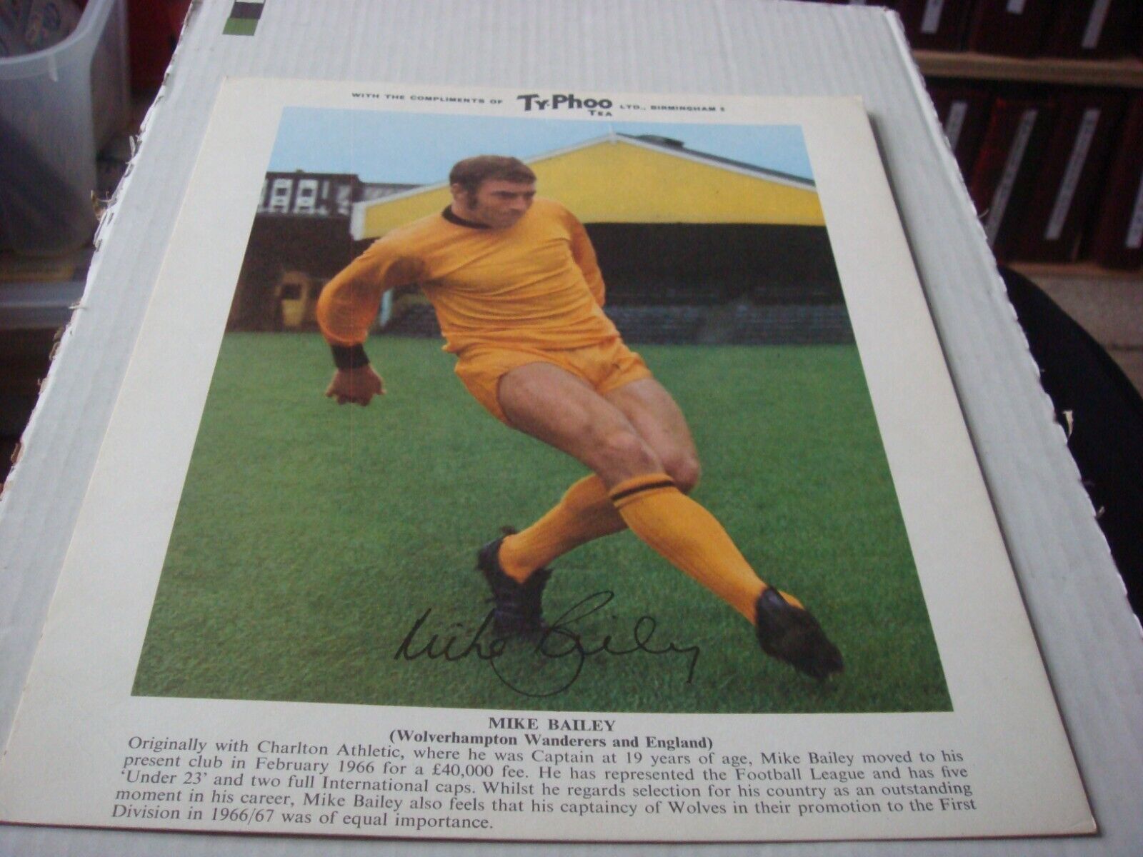 Football MIKE BAILEY WOLVES and ENGLAND portrait 10\