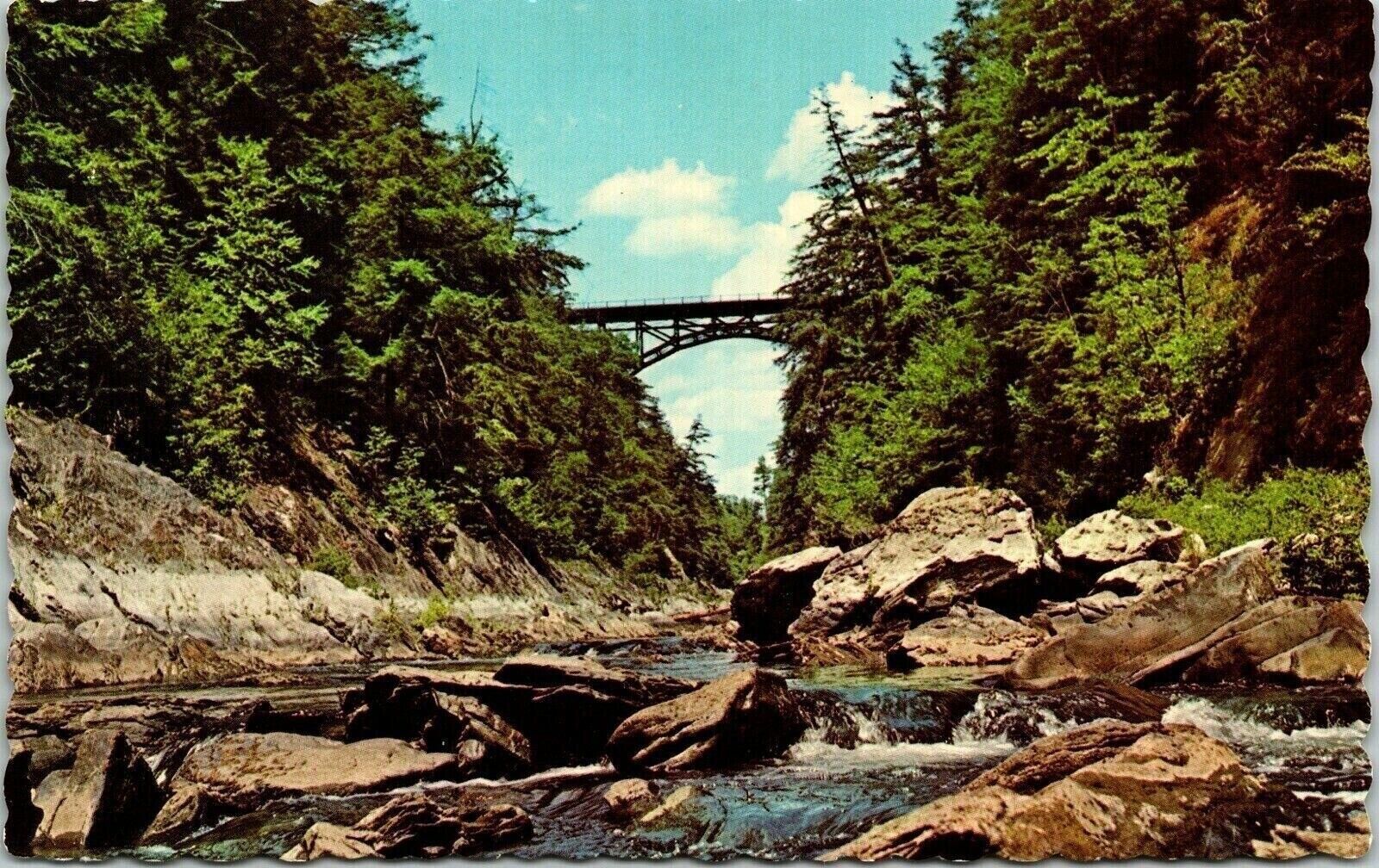 Quechee Gorge Ottauquechee River Postcard Dexter VTG UNP Vintage Unused