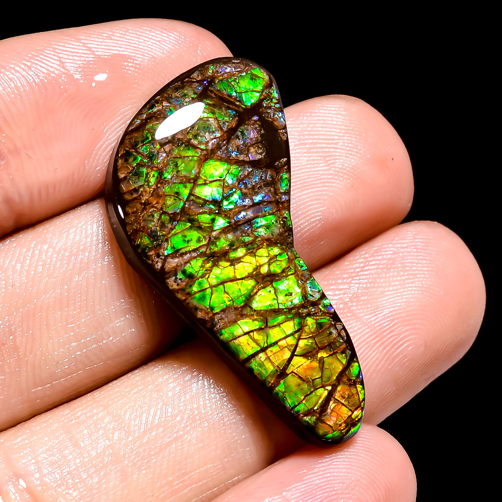 24.00Cts. Natural Ammolite Fire Play Fancy 33X16X4 mm Cabochon Loose Gemstone