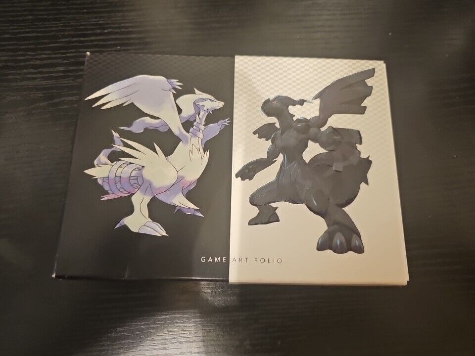 Pokemon Black Version And White Version Game Art Folio