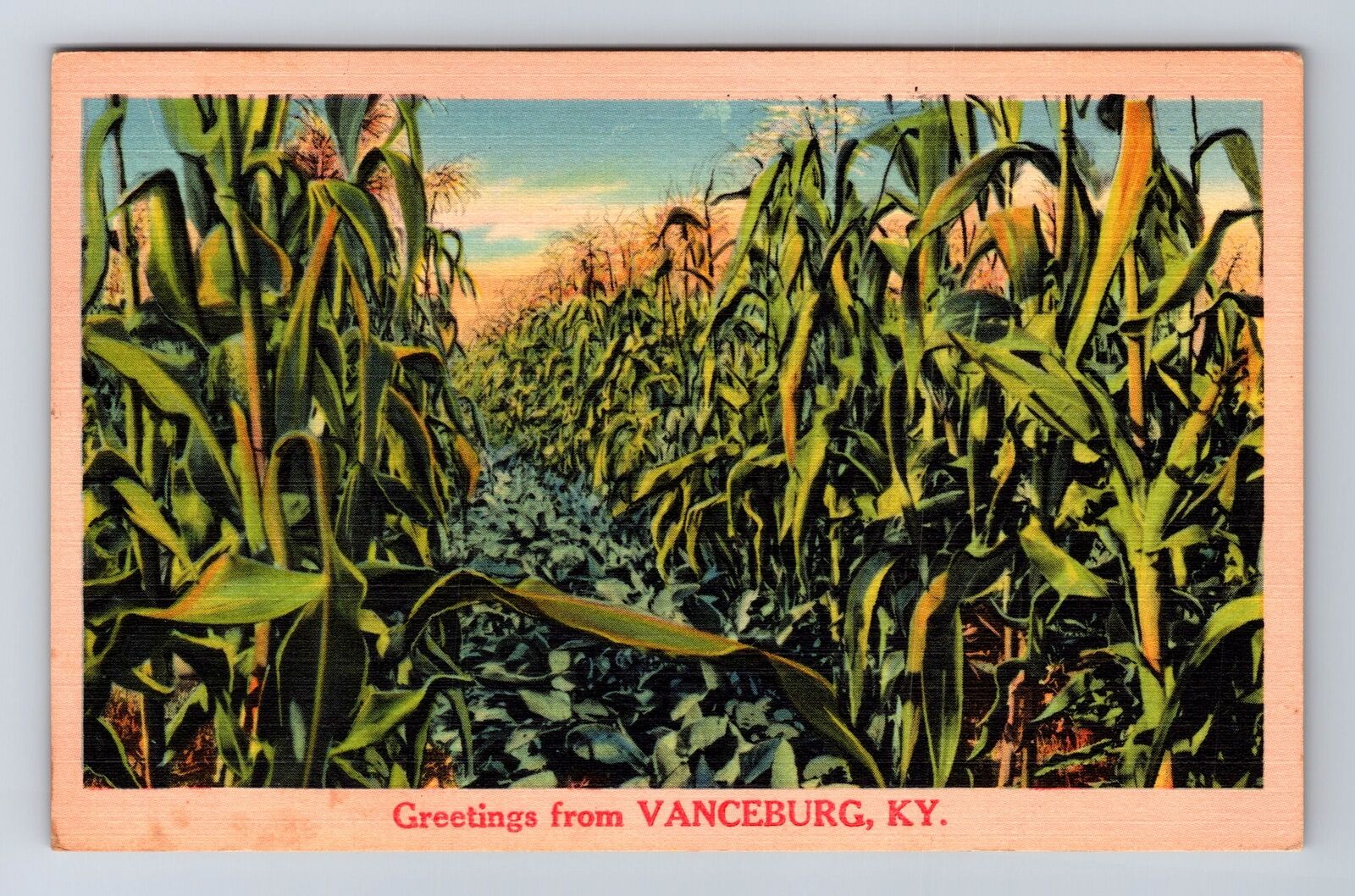 Vanceburg KY-Kentucky, Scenic Greetings, Antique Souvenir, Vintage Postcard