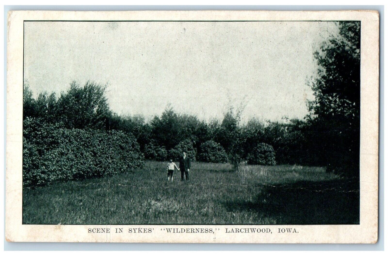 c1920 Scene Sykes Wilderness Field Trees Larchwood Iowa Vintage Antique Postcard