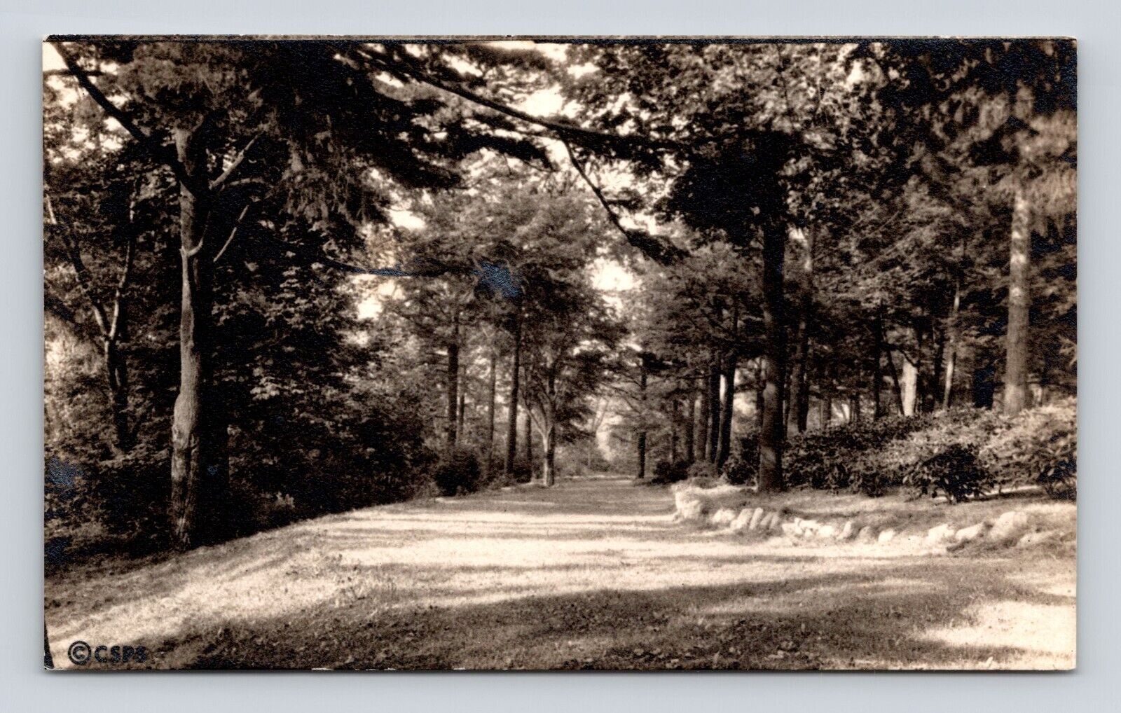 RPPC Postcard Real Photo Old Roadway Grounds Sanitorium Chestnut Hill MA