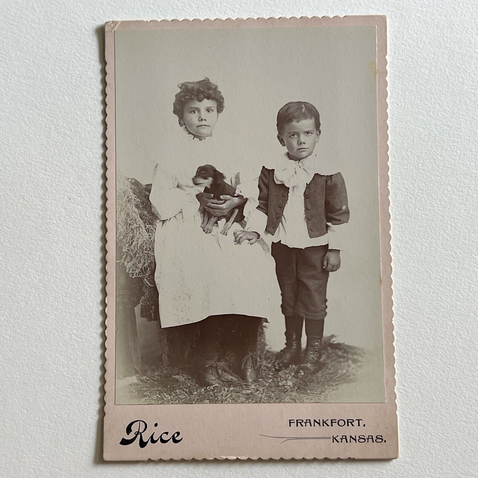 Antique Cabinet Card Photograph Adorable Children Sweet Puppy Dog Frankfort KS