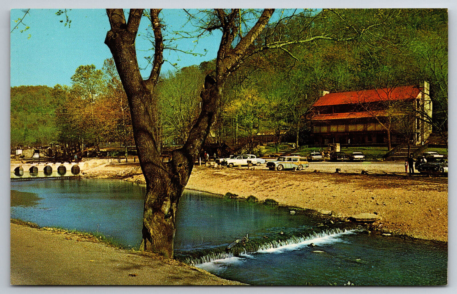 Vintage Postcard MO Cassville Roaring River State Park Lodge 50s Cars -11159