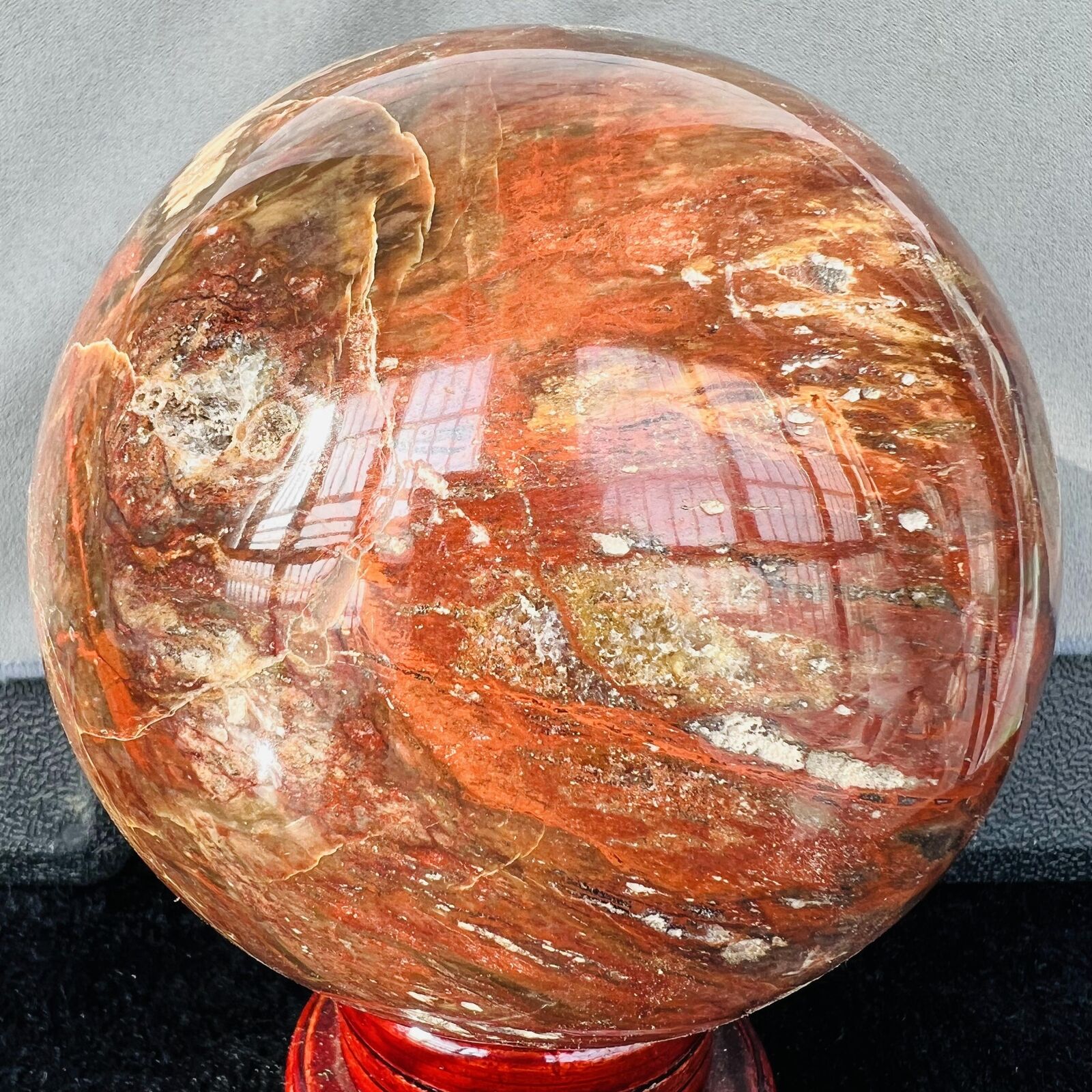 Natural Wood Fossil Decoration Polished Wood Grain Fossil Decor Crystal 4.32LB