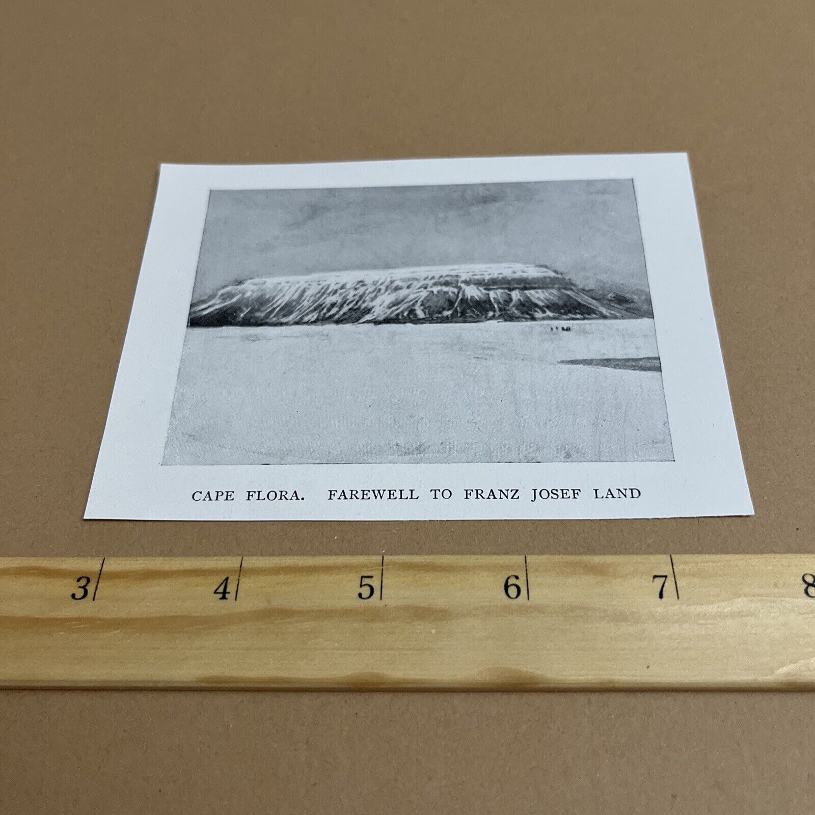 Antique 1898 Image: Cape Flora Franz Josef Land Arctic Polar Glacier