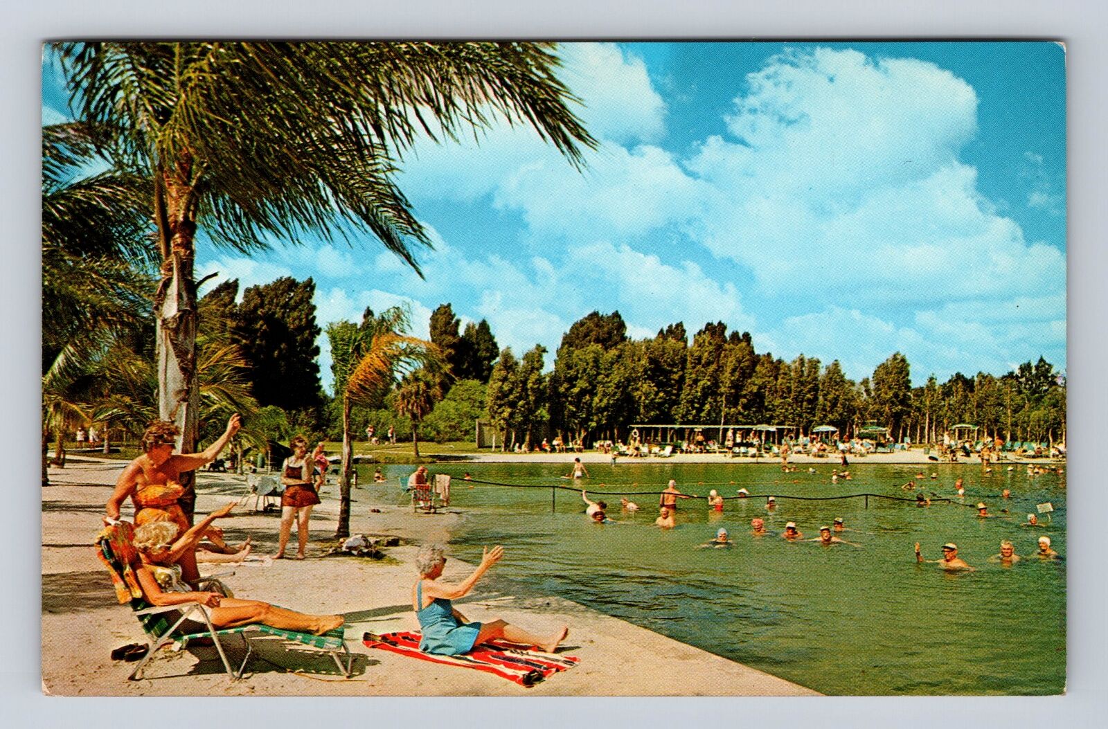 Warm Mineral Springs FL-Florida, Mineral Water, Antique Vintage Postcard