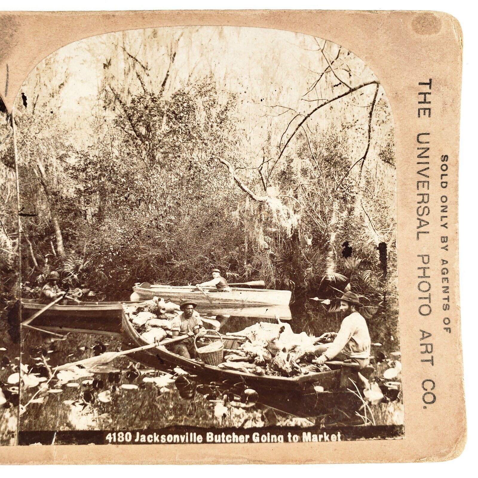 Jacksonville Butcher Meat Boats Stereoview c1895 Florida African American B1817